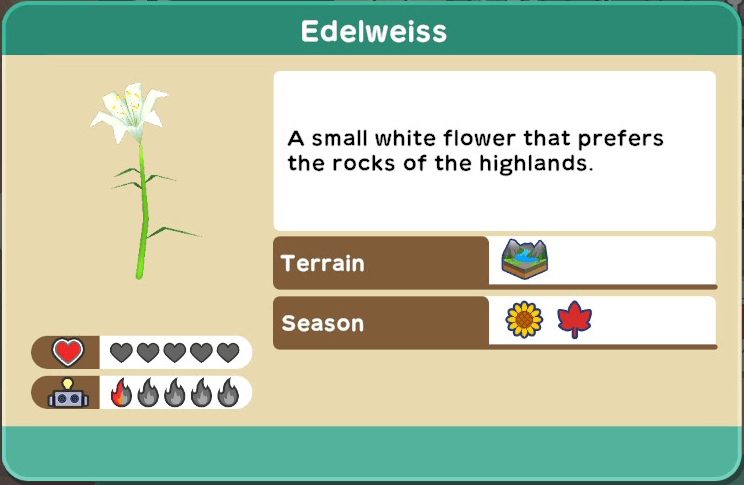 Harvest Moon One World Best Seeds Edelweiss