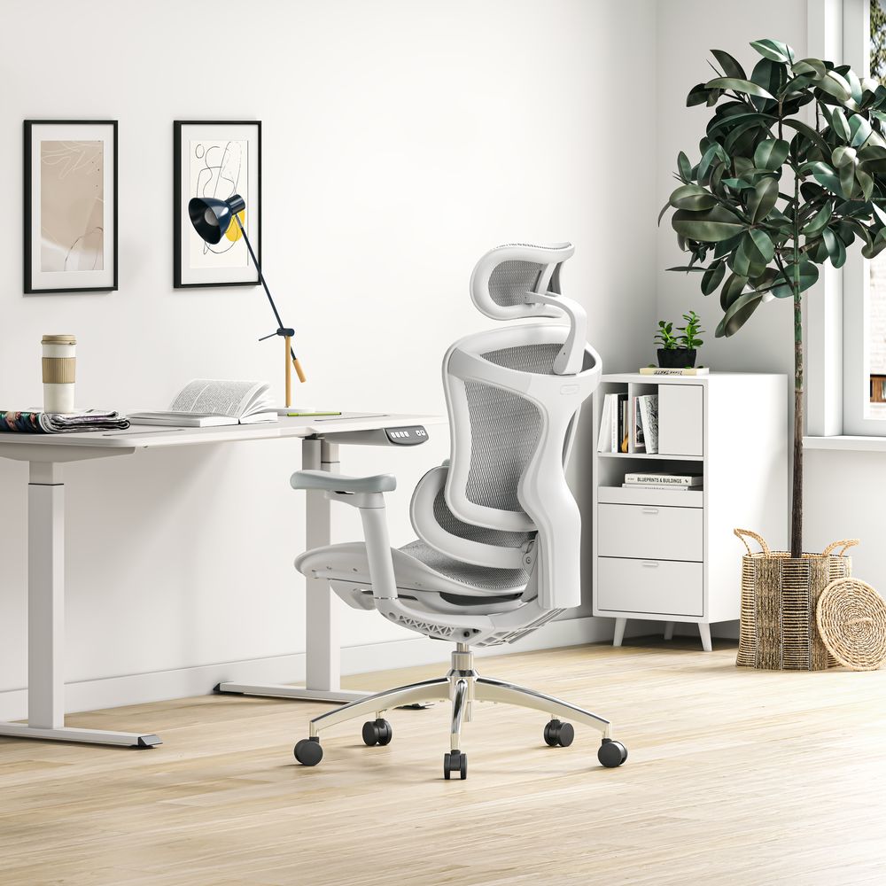 Discover the ultimate SIHOO office chair review