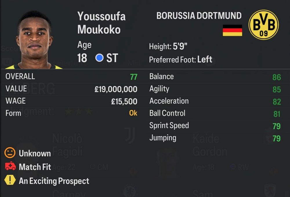 Youssoufa-Moukoko